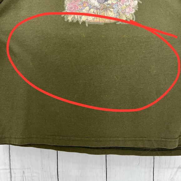 Resource XL American VINTAGE 90s Womens Green Badger Floral Friends Tee Shirt - Picture 8 of 11